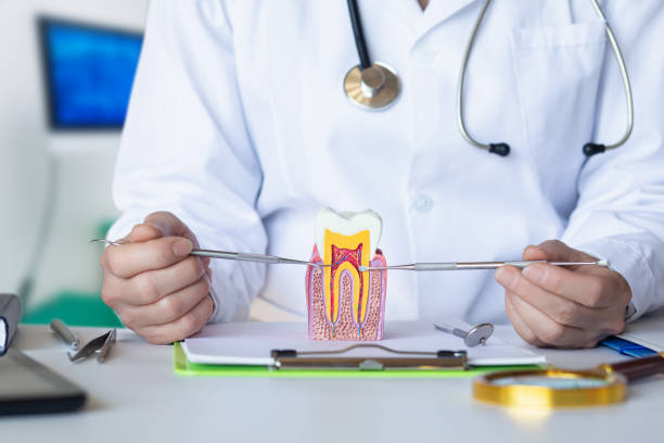 Best After-Hours Emergency Dentist in Malvern, IA